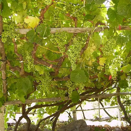 Finca Der Weinreben Villa *